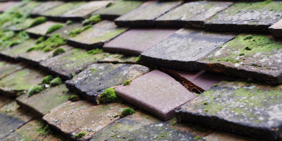 Crossway roof repair costs